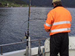 Norwegen 2008 Rundereim